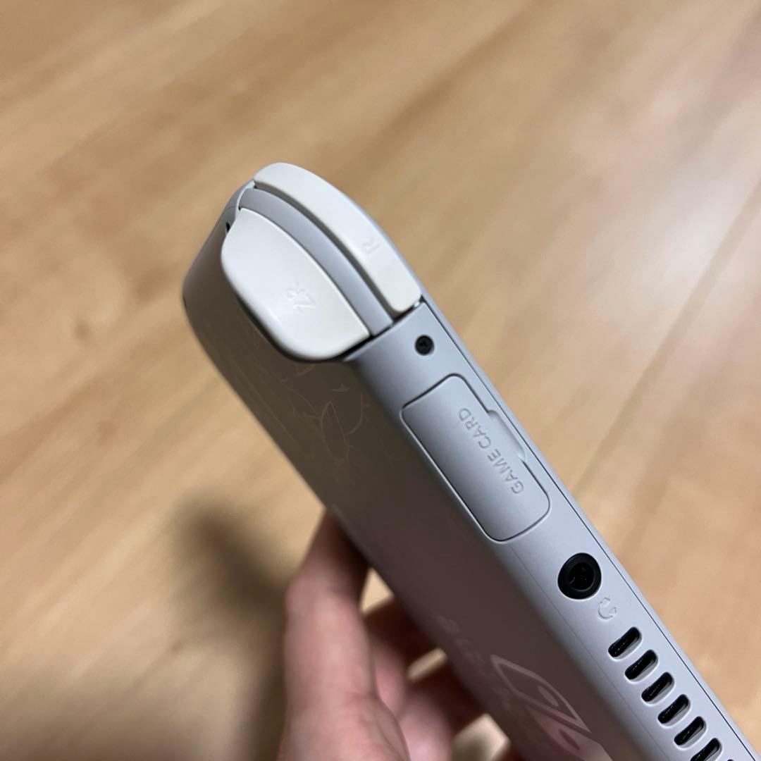 Nintendo Switch light ザシアン・ザマゼンタ　本体　充電器
