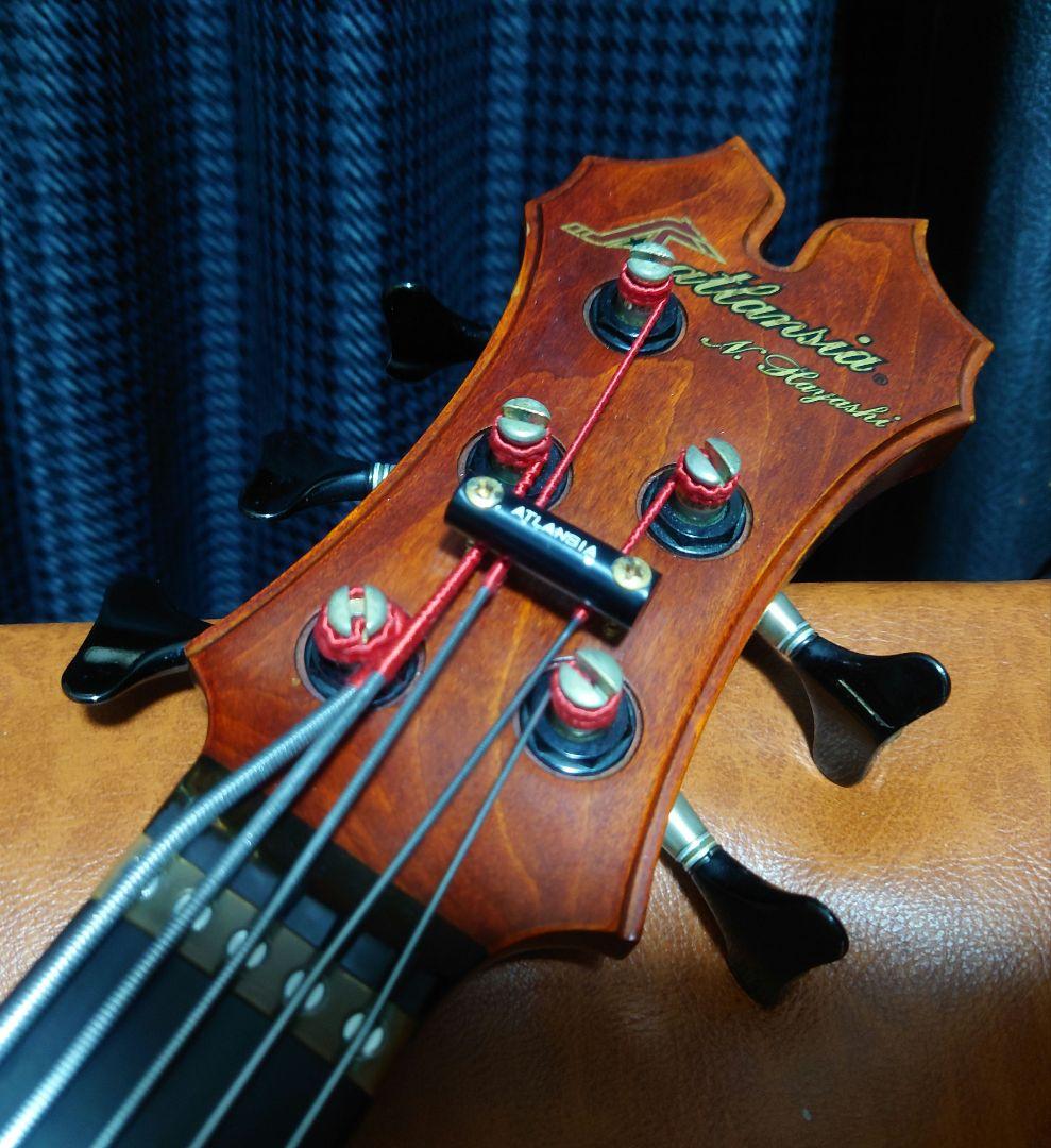 ベース Atlansia Victoria Fretless 5st