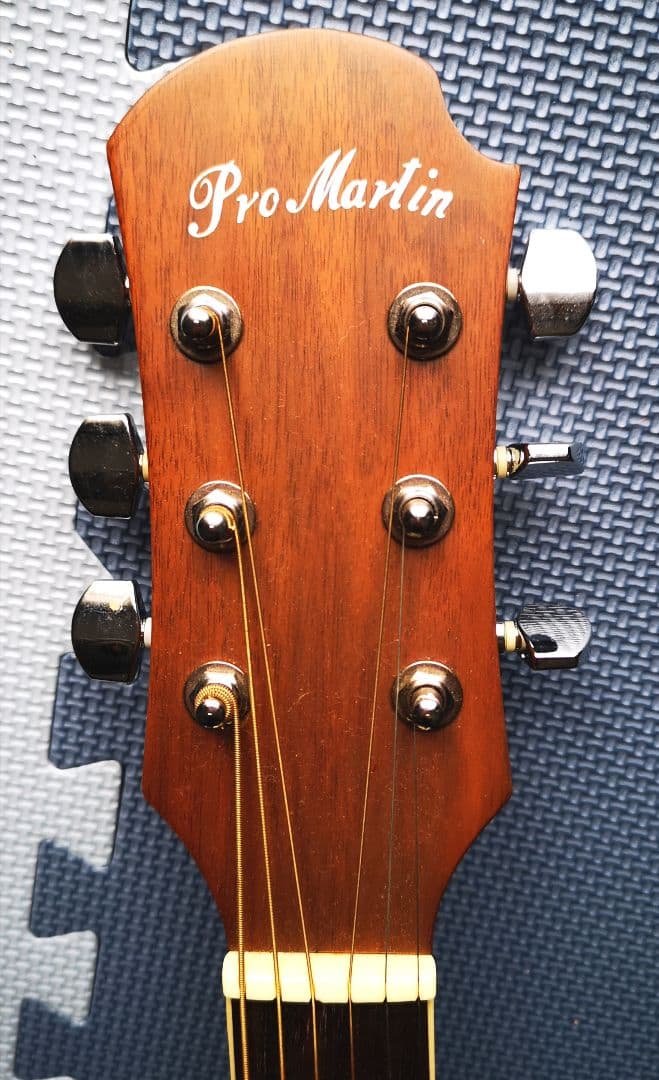 ♦️超レアギター♦️ ProMartin エレアコ EA350BLS ②
