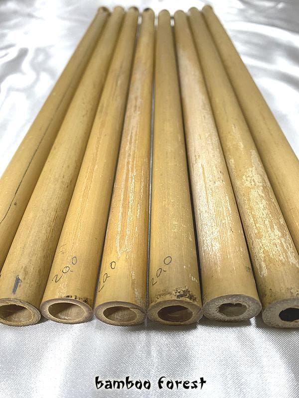 篠竹／女竹 篠笛／横笛素材 採取後10年以上物 20.0mm