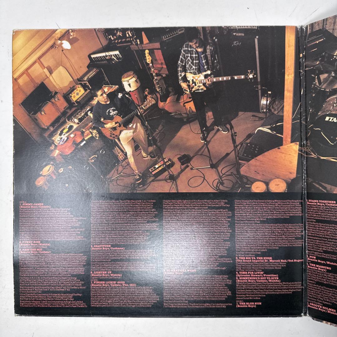 Beastie Boys / Check Your Head 2LP レコード
