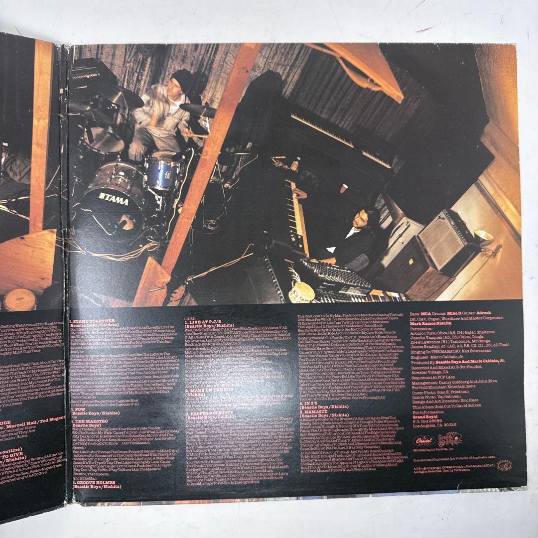 Beastie Boys / Check Your Head 2LP レコード