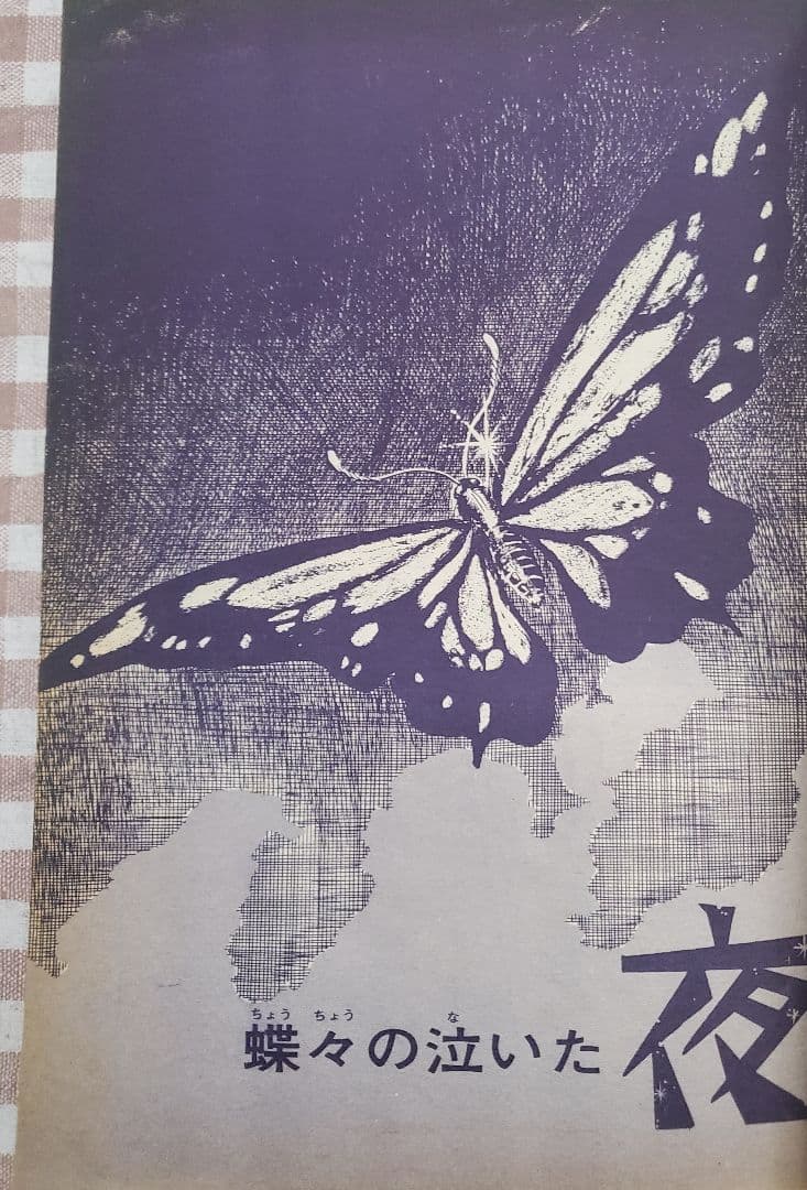 立春セール！ＣＯＭ増刊号「ノアをさがして＊矢代まさこ特集」樹村みのり作品併載