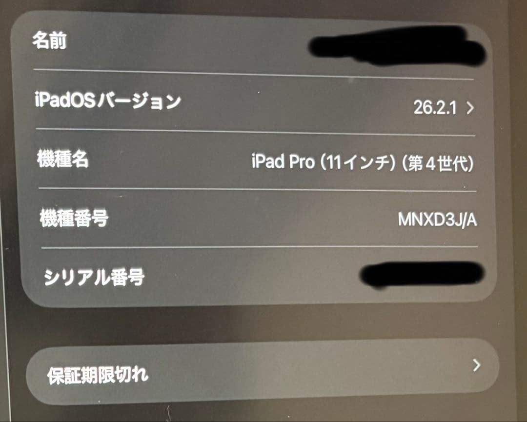 Apple iPad Pro（11インチ）（第4世代） 本体 箱あり！充電100