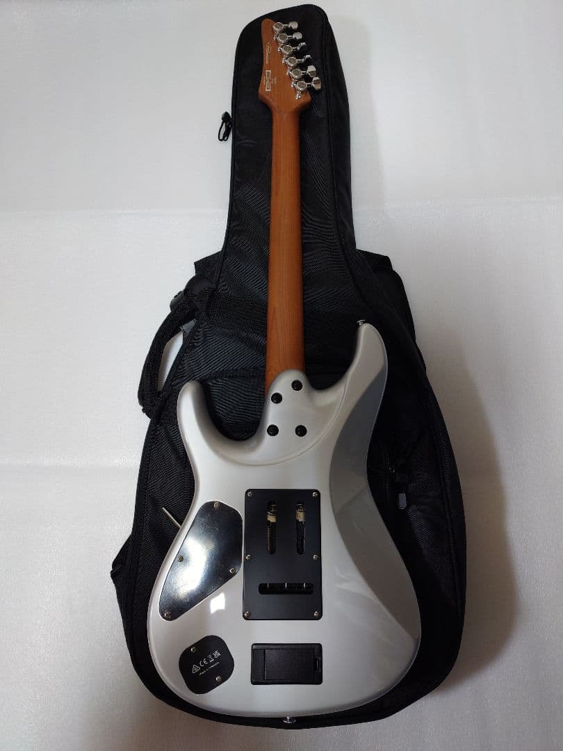 ギター Ibanez TOD10 Tim Henson Signature