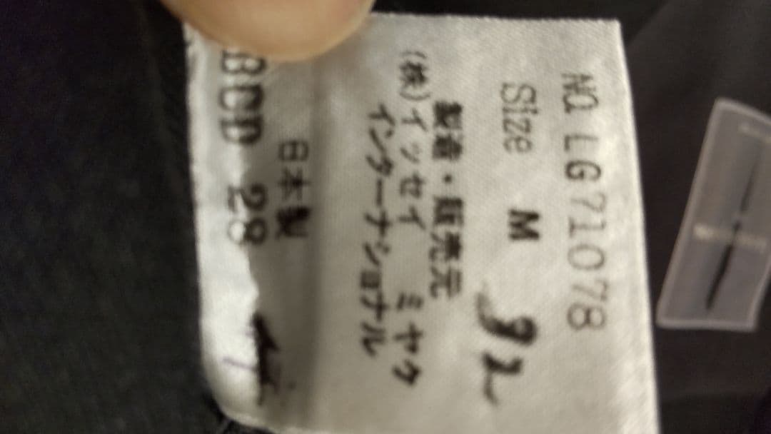 イッセイミヤケ　筆タグ　ダブルスーツ　グレー　無地 ヴィンテージ