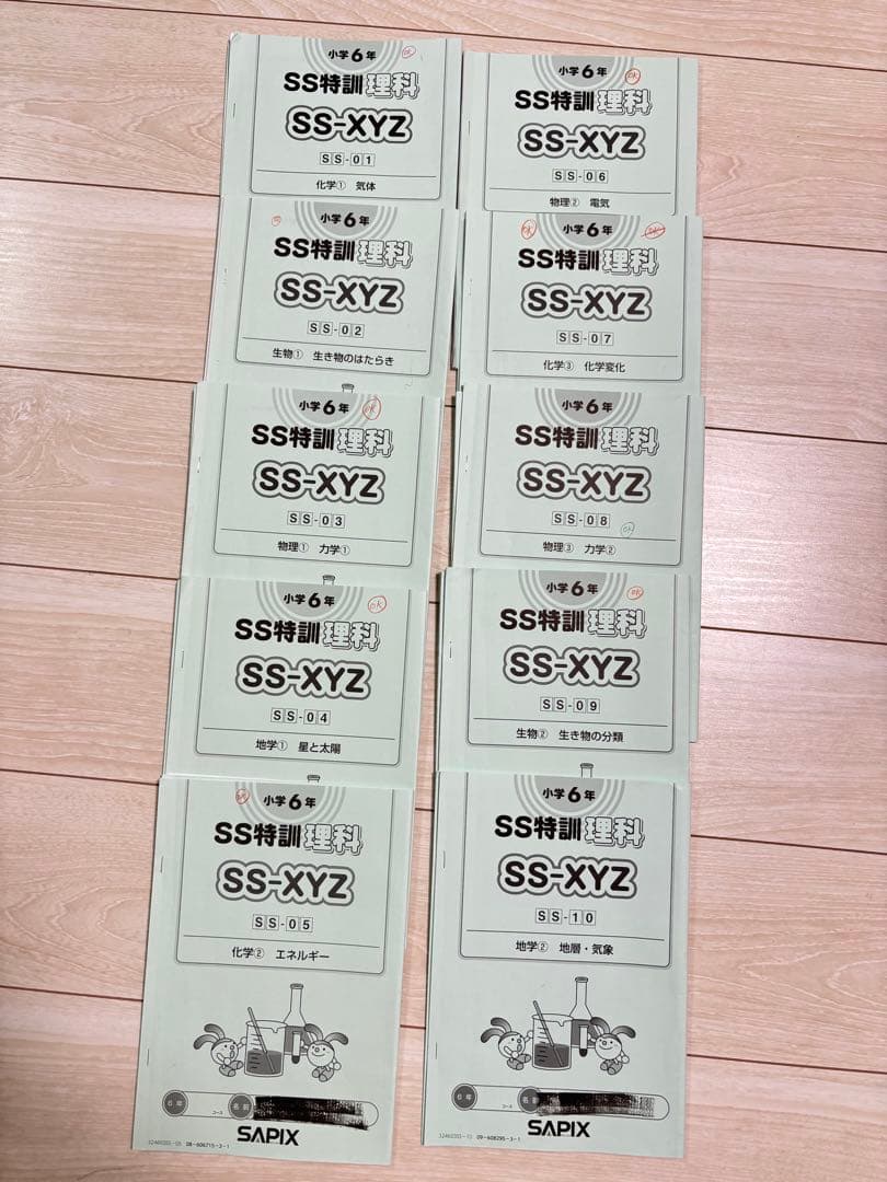 【最新】Sapix 2024年度 6生 理科1年分