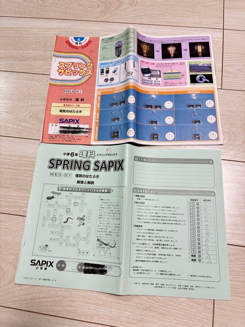 【最新】Sapix 2024年度 6生 理科1年分
