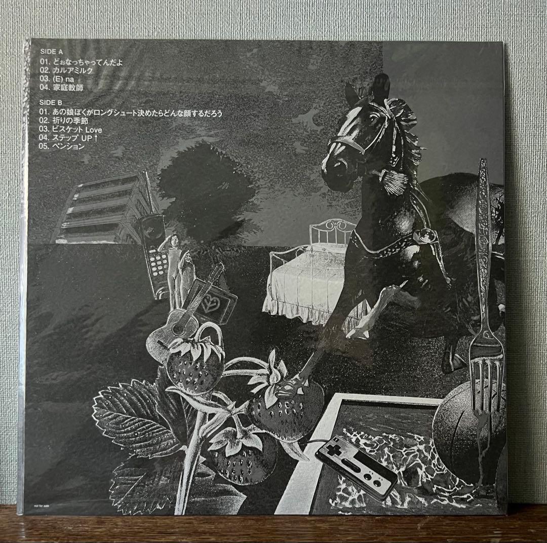 岡村靖幸　家庭教師　白黒ジャケ•スリーブ•ケース付 アナログ•レコード盤