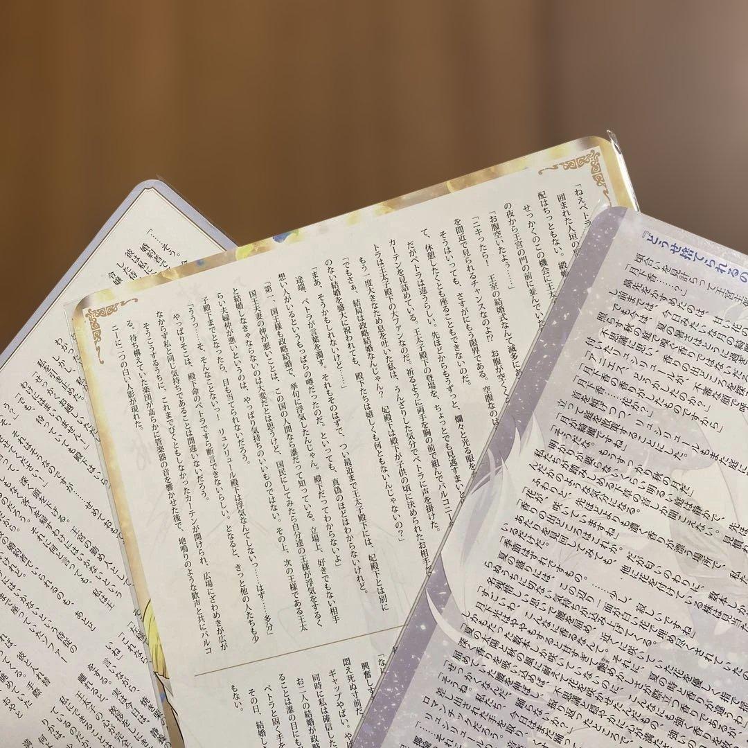 どうせ捨てられるのなら、最後に好きにさせていただきます　特典のみ