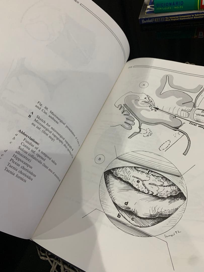 The Microsurgical Approaches…