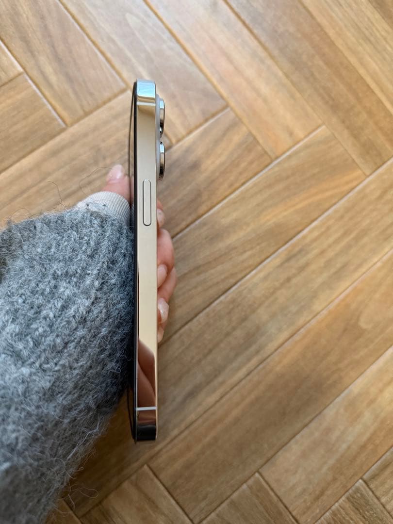 Apple iPhone 14 Pro 1TB シルバー 本体