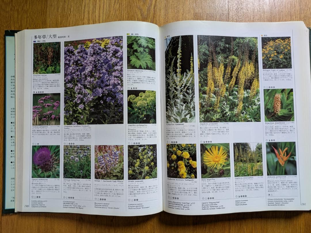 すべての園芸家のための花と植物百科