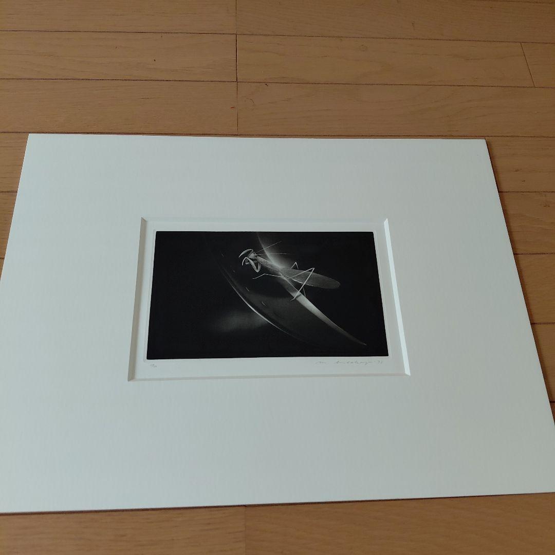 松本秀一　版画　蟷螂