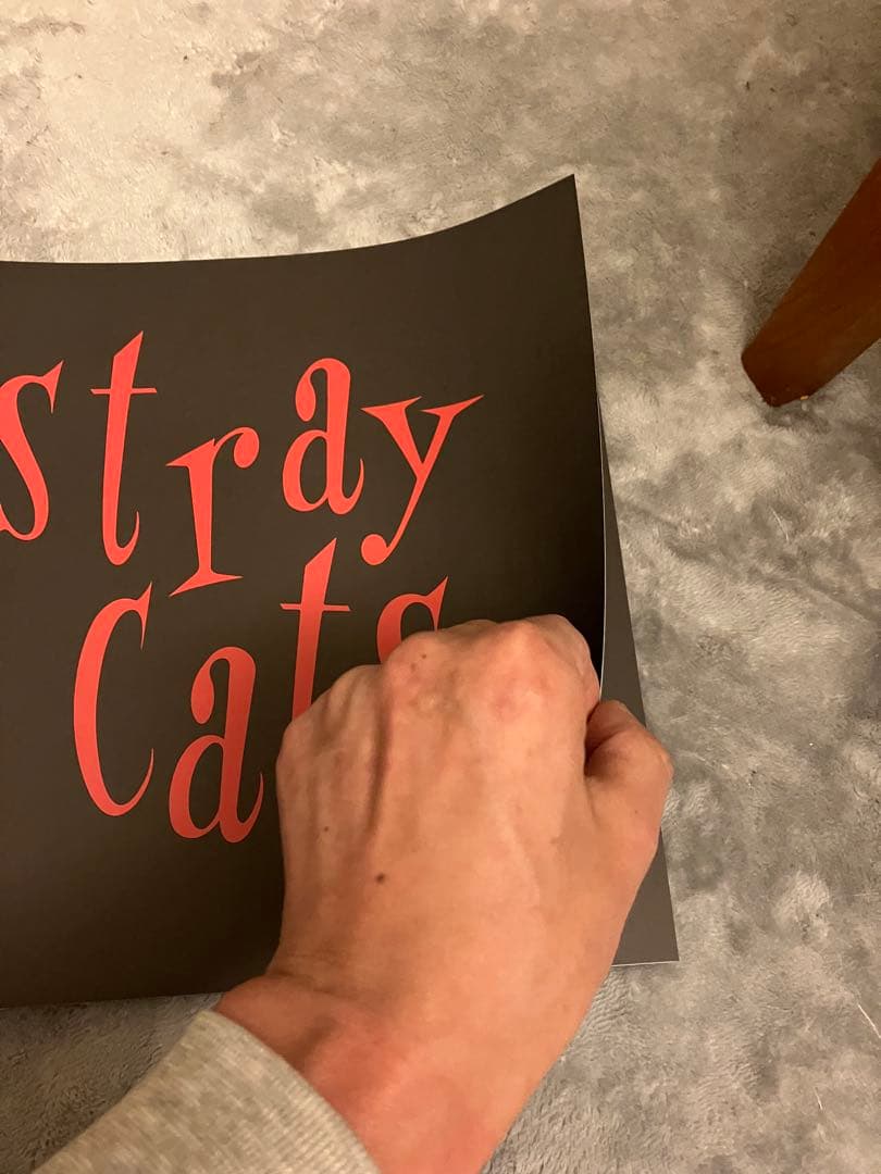 ストレイ・キャッツ　STRAY CATS BOX ボックス　lp