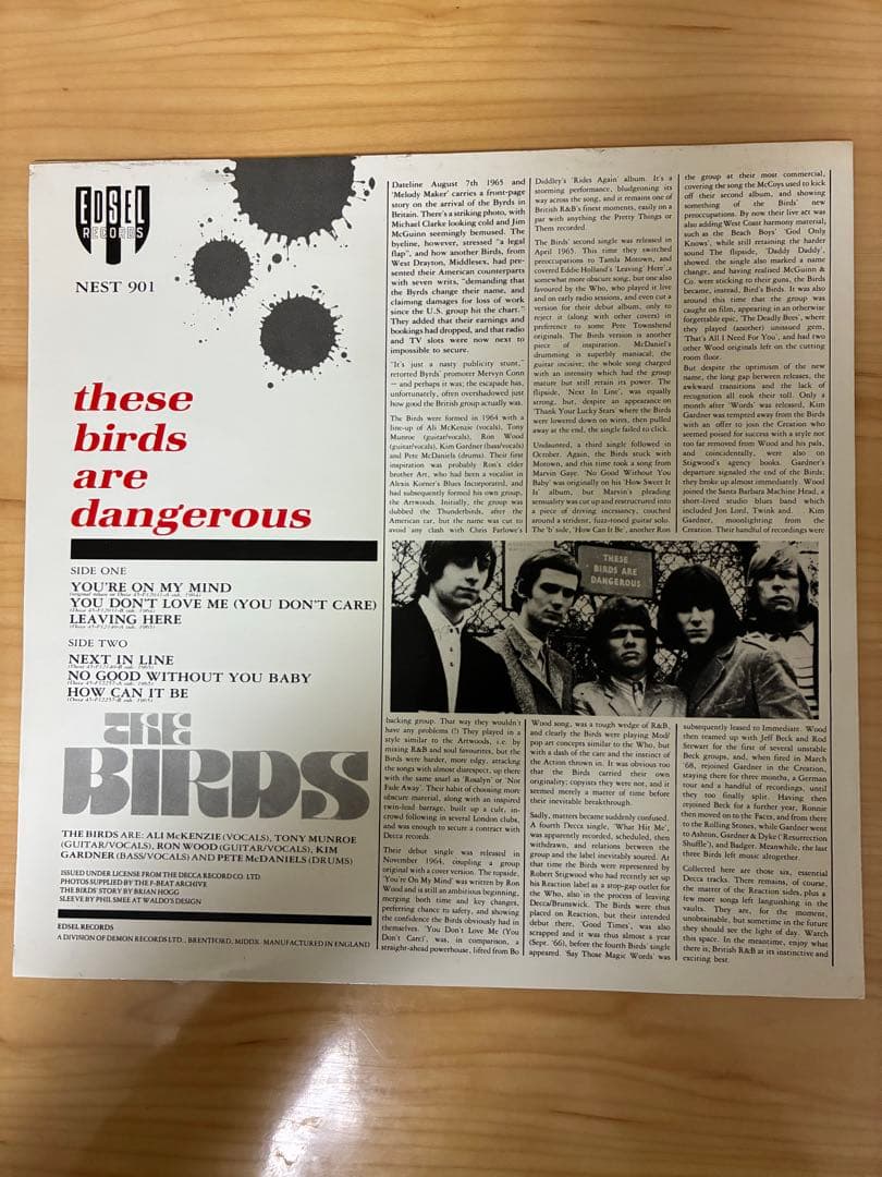 【LP】The Birds/These Birds Are Dangerous