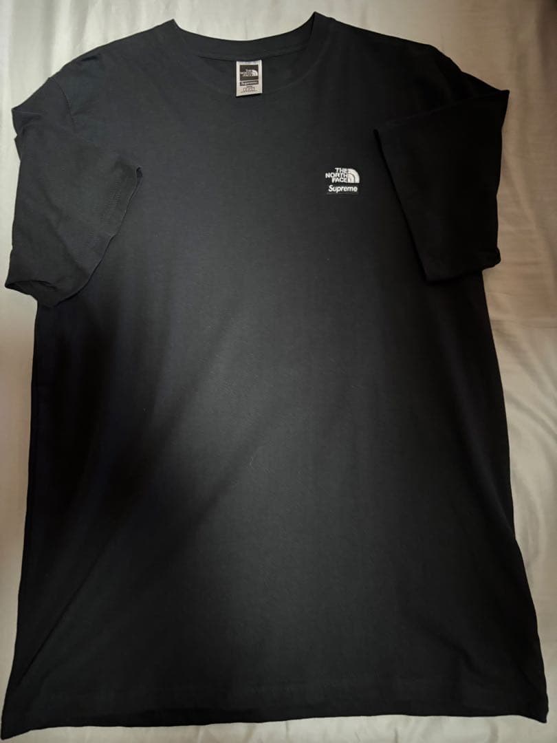 値下げ❗️希少❗️THE NORTH FACE x Supreme バンダナTシャツ