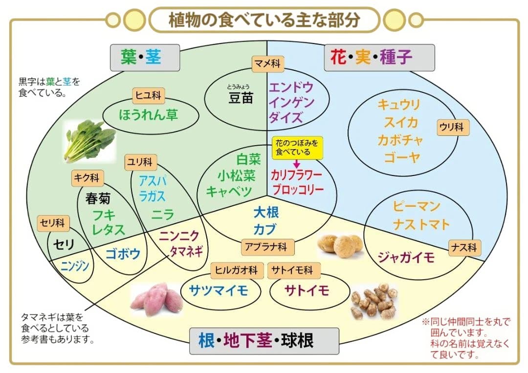 ゆう商品