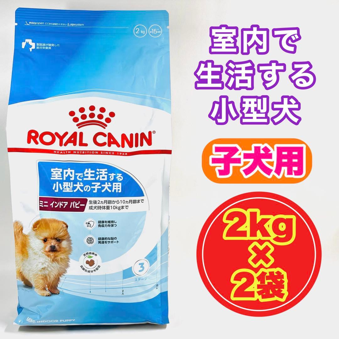 ロイヤルカナン 室内で生活する小型犬の子犬用 2kg‪✕‬2袋
