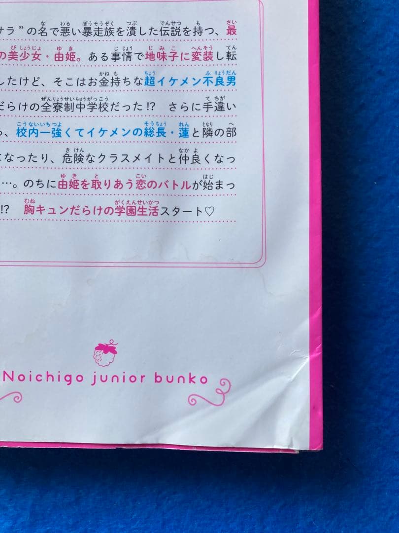 おまけ付き　総長さま、溺愛中につき。 全巻15巻・ファンブックなど　計17冊　★