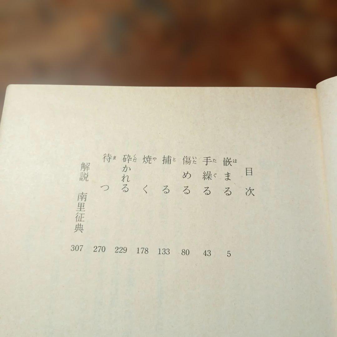 獣たちの熱い眠り