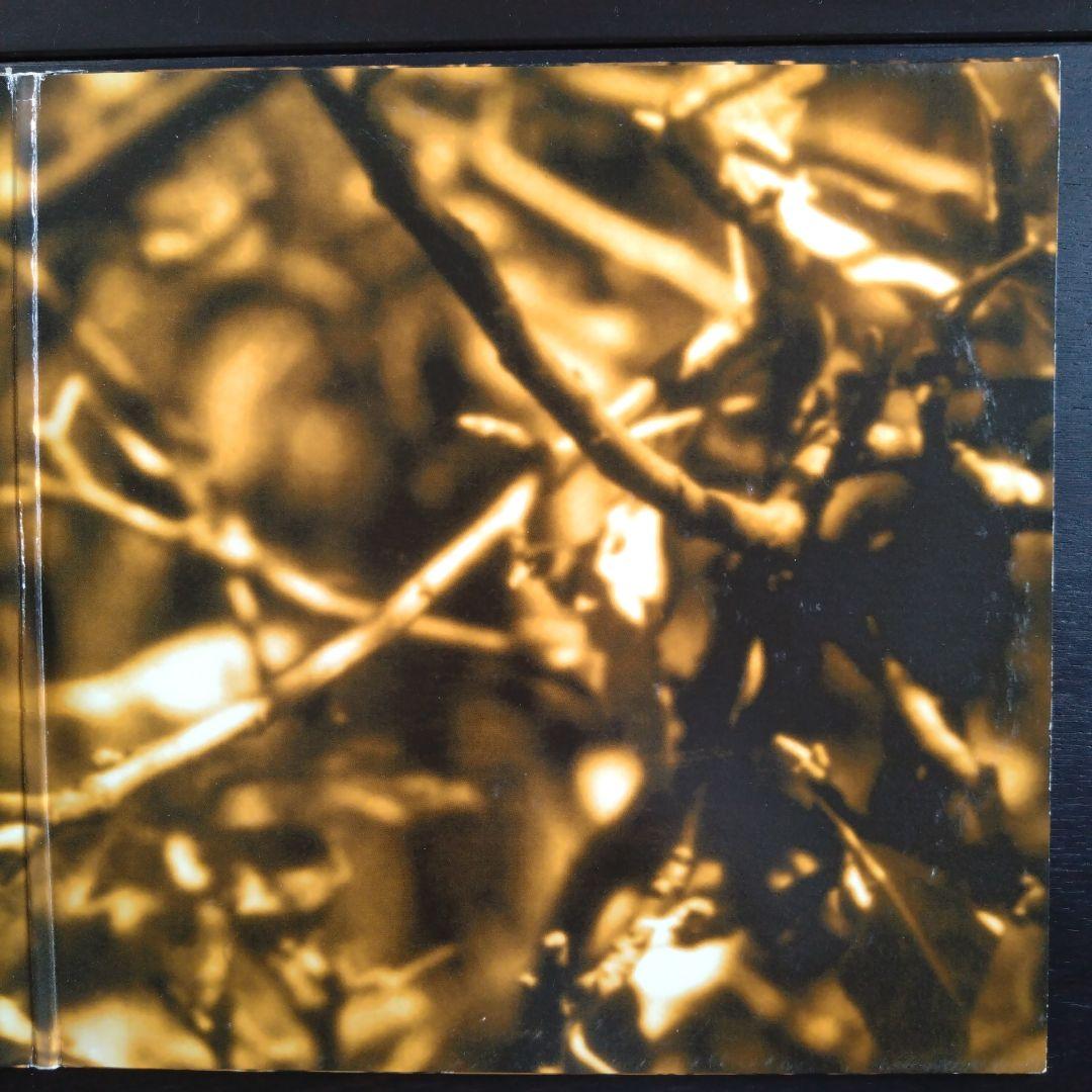 GAS KONIGSFORST 2LP KOMPACT レコード