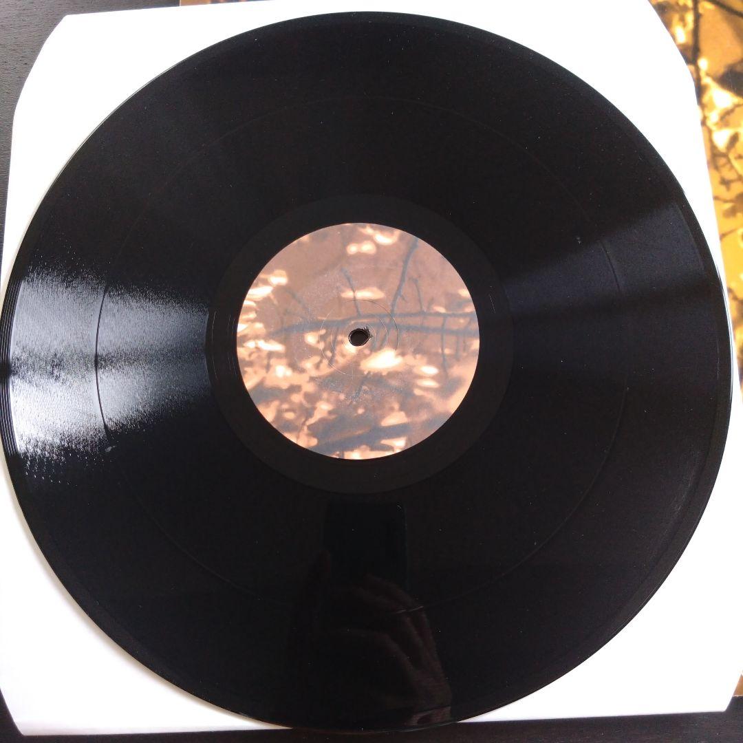 GAS KONIGSFORST 2LP KOMPACT レコード