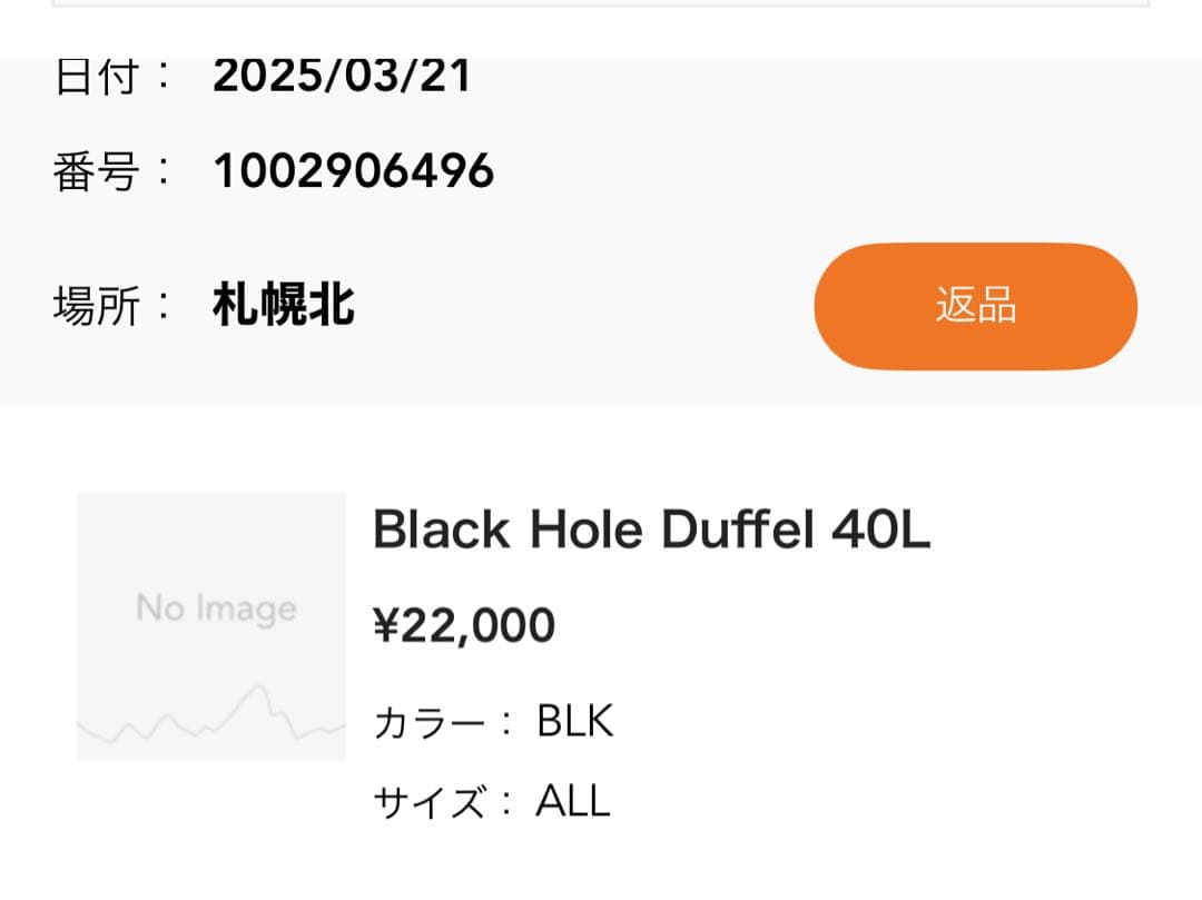 パタゴニア　ブラックホール　ダッフル40L