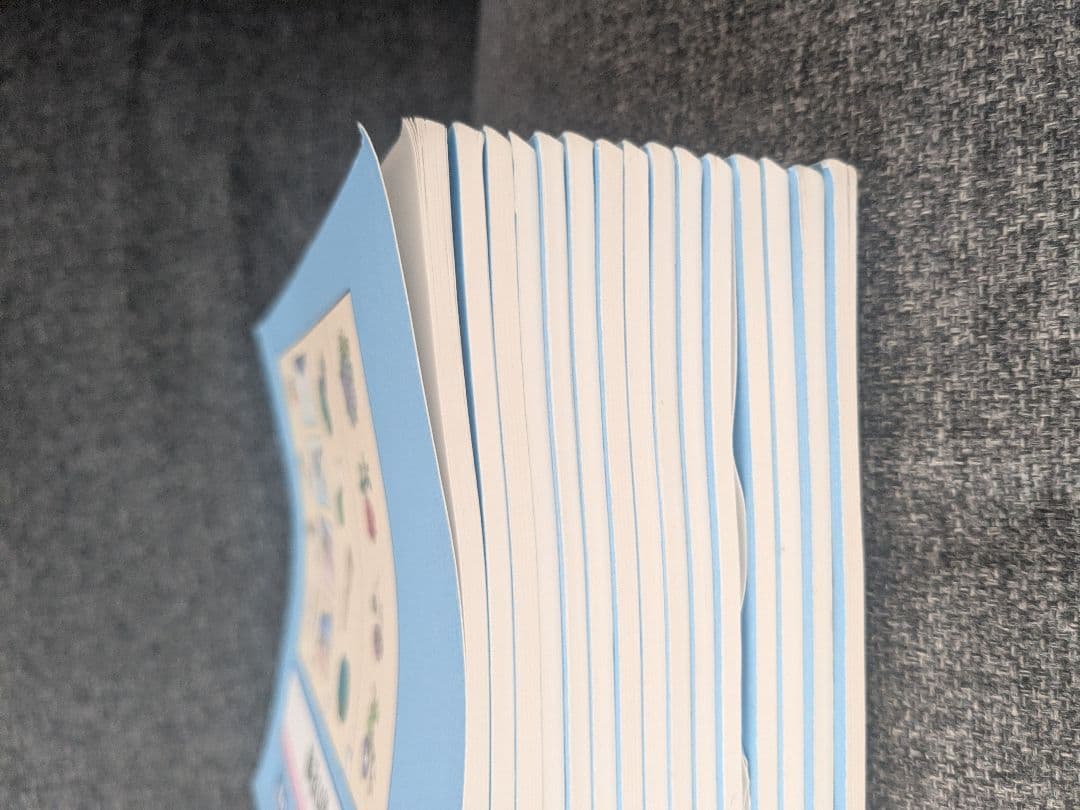 理英会　ばっちりくんドリル 　17冊セット