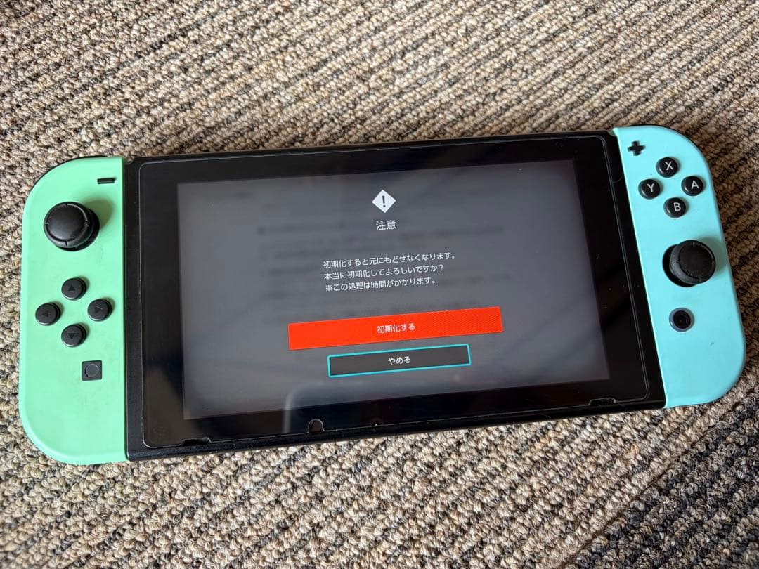任天堂スイッチ Switch本体 あつまれどうぶつの森セット 専用ケース付き