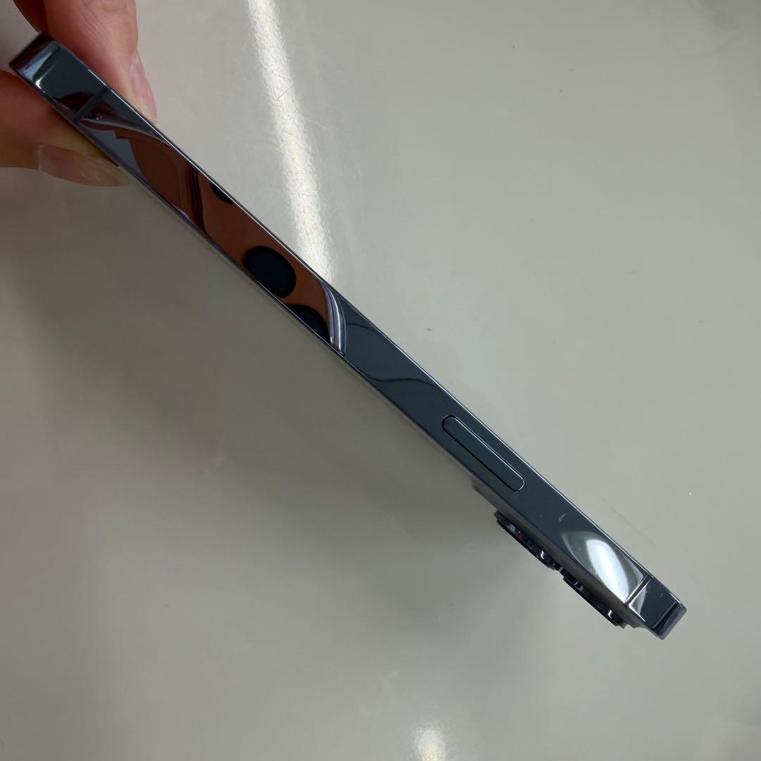 Apple iPhone 13 Pro本体 Apple純正イヤホン 充電ケーブル