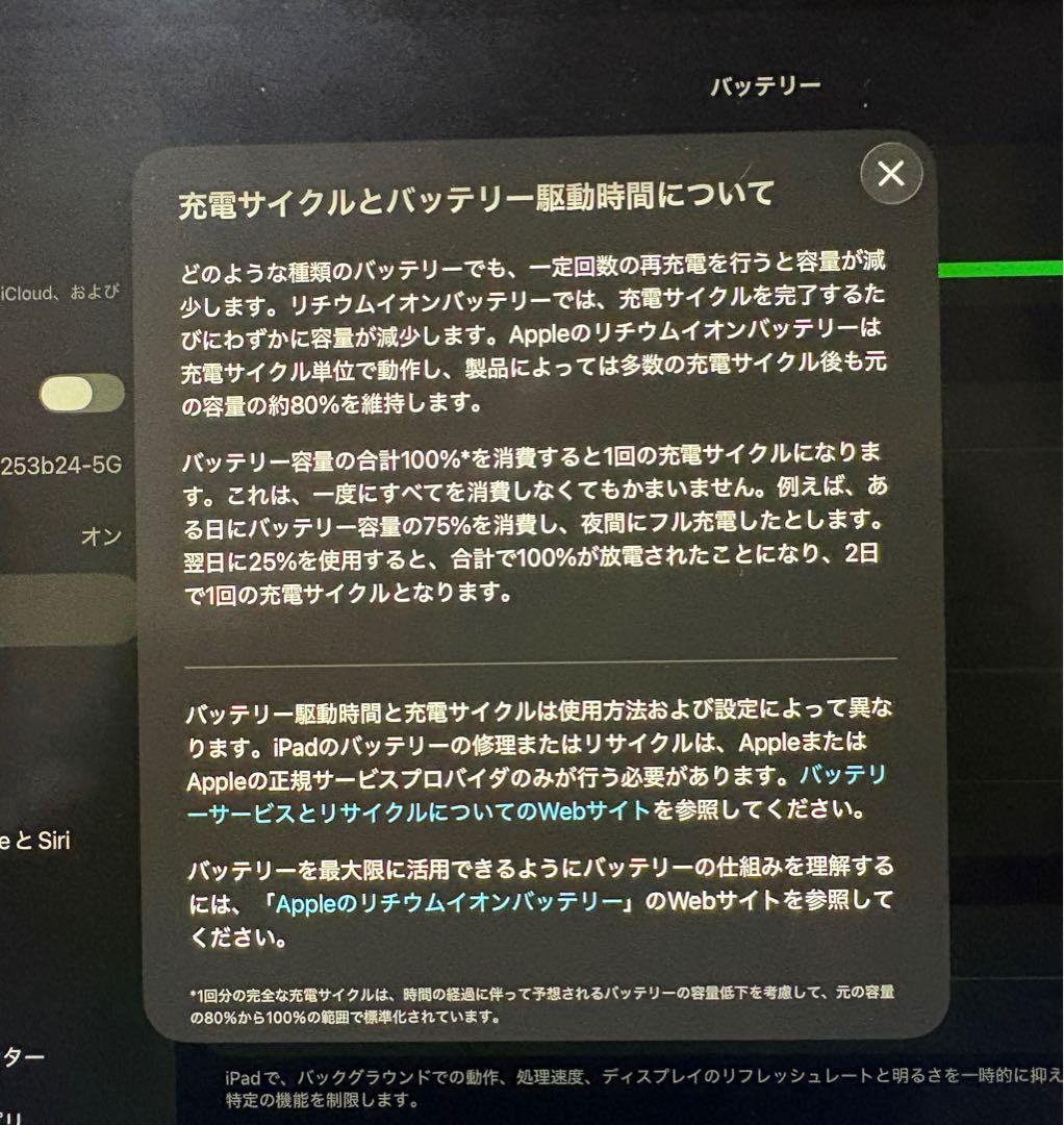 iPad Pro シルバー 本体　おまけ付き