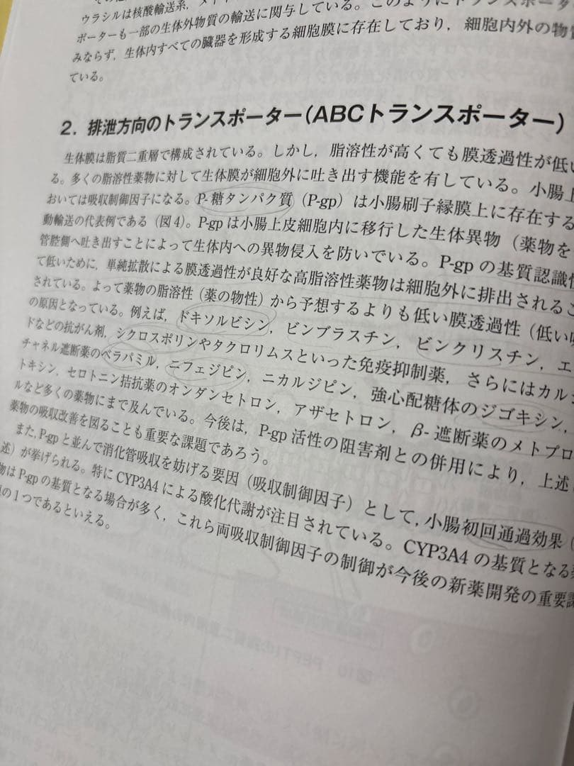 薬の生体内運命