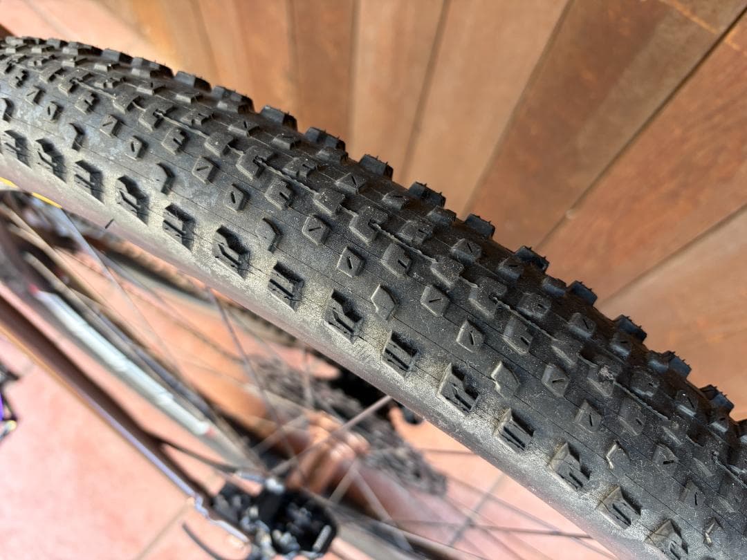 SANTA CRUZ サンタクルーズ CAMELEON MTB L 29er