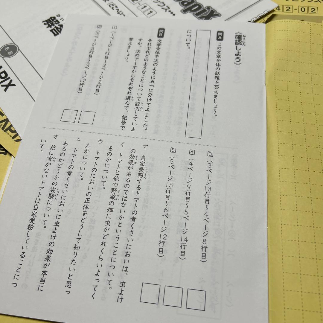 ㉓A 未記入　サピックス　SAPIX 4年　国語　夏期講習　サマーサピックス