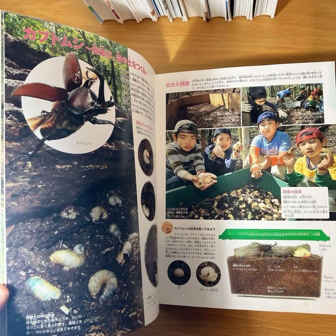小学館の図鑑　NEO NEO➕9冊　と図鑑3冊　合計12冊セット