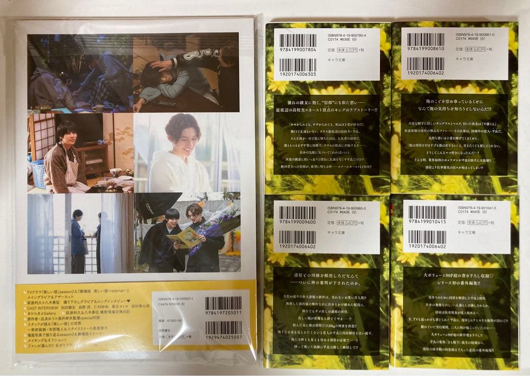 美しい彼 6点セット 小説全面帯全巻＆TVドラマ・劇場版公式ビジュアルブック　A