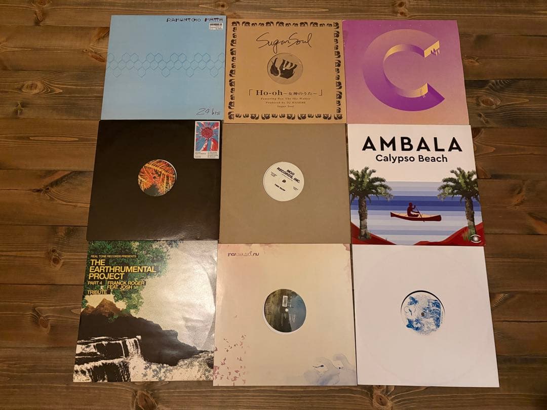 HOUSE. TECHNO. NU-DISKO.他レコード50枚まとめ売り⑤
