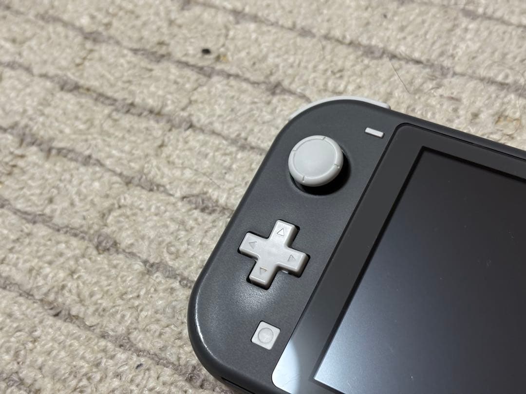 Switchライトグレー＋ソフト1本　おまけ付き