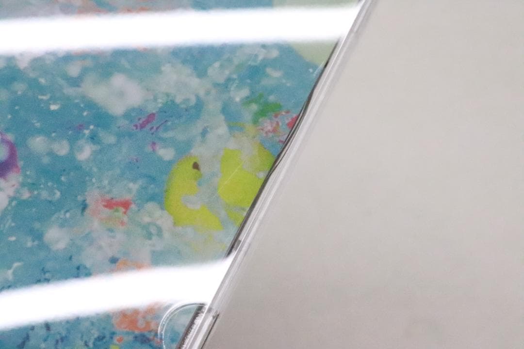 Mrs.GREEN APPLE サママフェスティバル 08-TO1225-04C