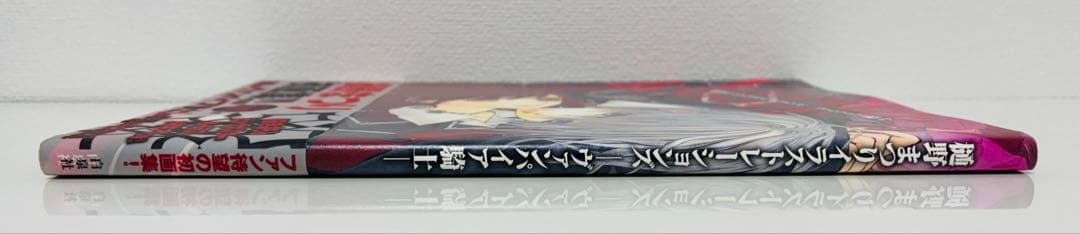 樋野まつりイラストレーションズ ヴァンパイア騎士
