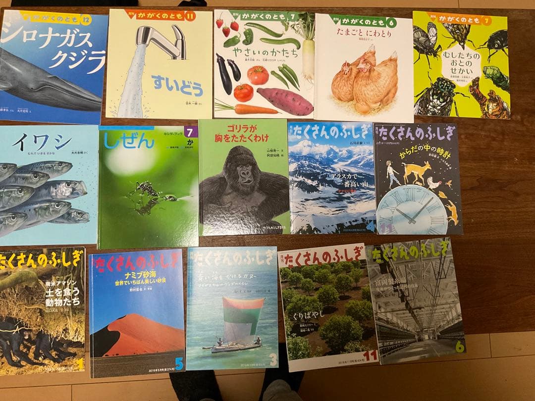 科学絵本 たくさんのふしぎなど 23冊セット