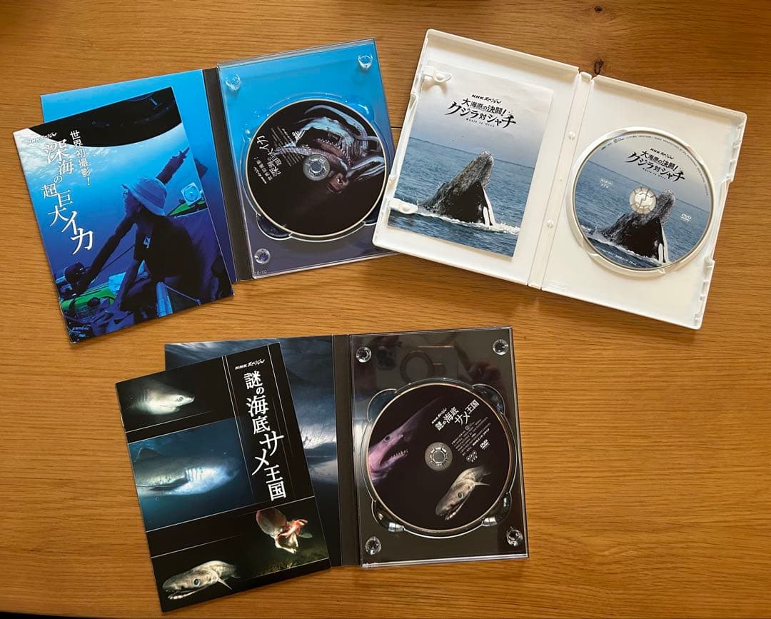 深海の超巨大イカ・謎の海底サメ王国・クジラ対シャチ DVDセット