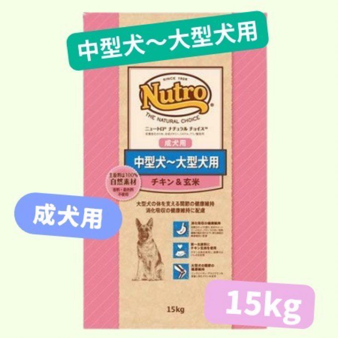 眠り姫