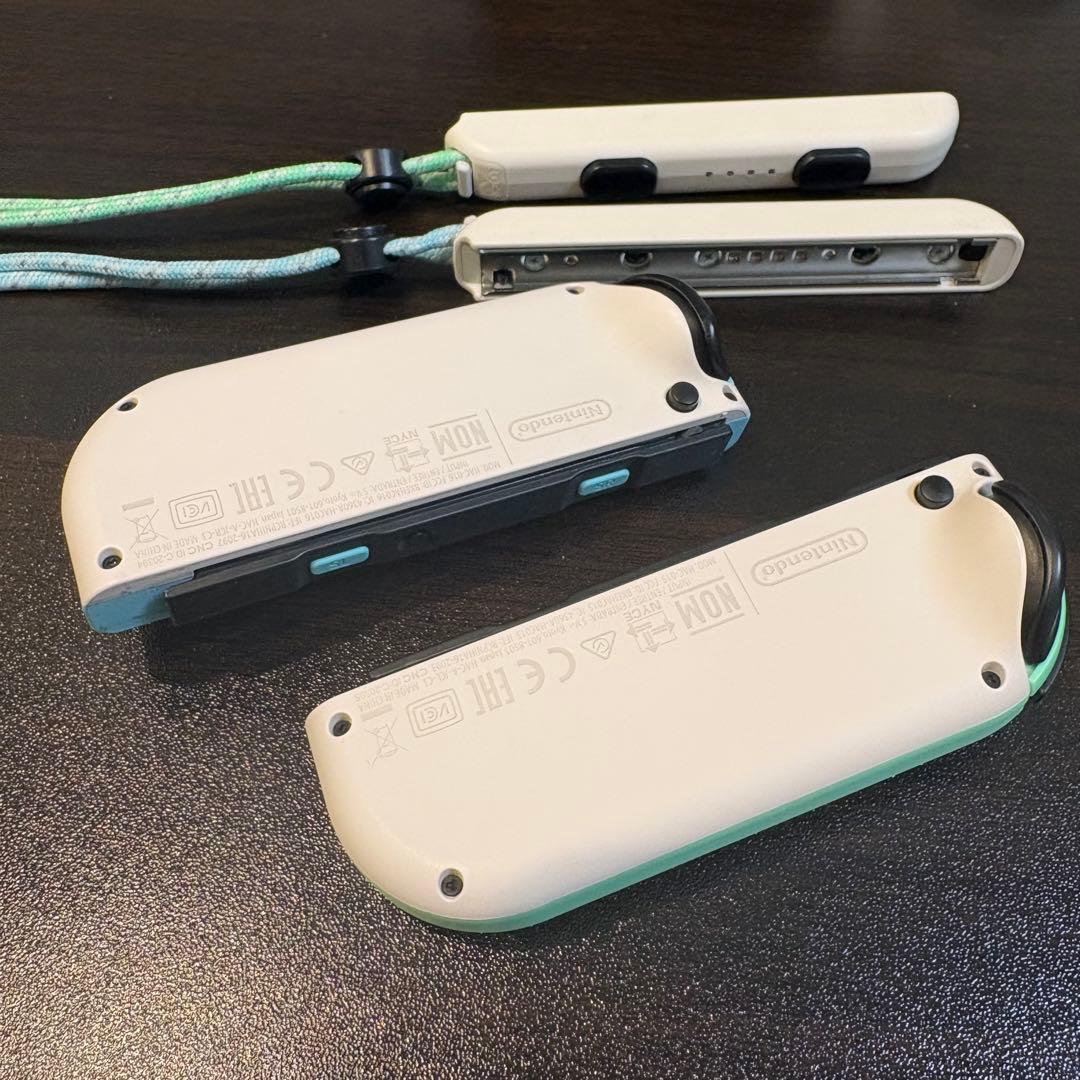 あつまれ どうぶつの森 Nintendo Switch 本体【本日発送可】