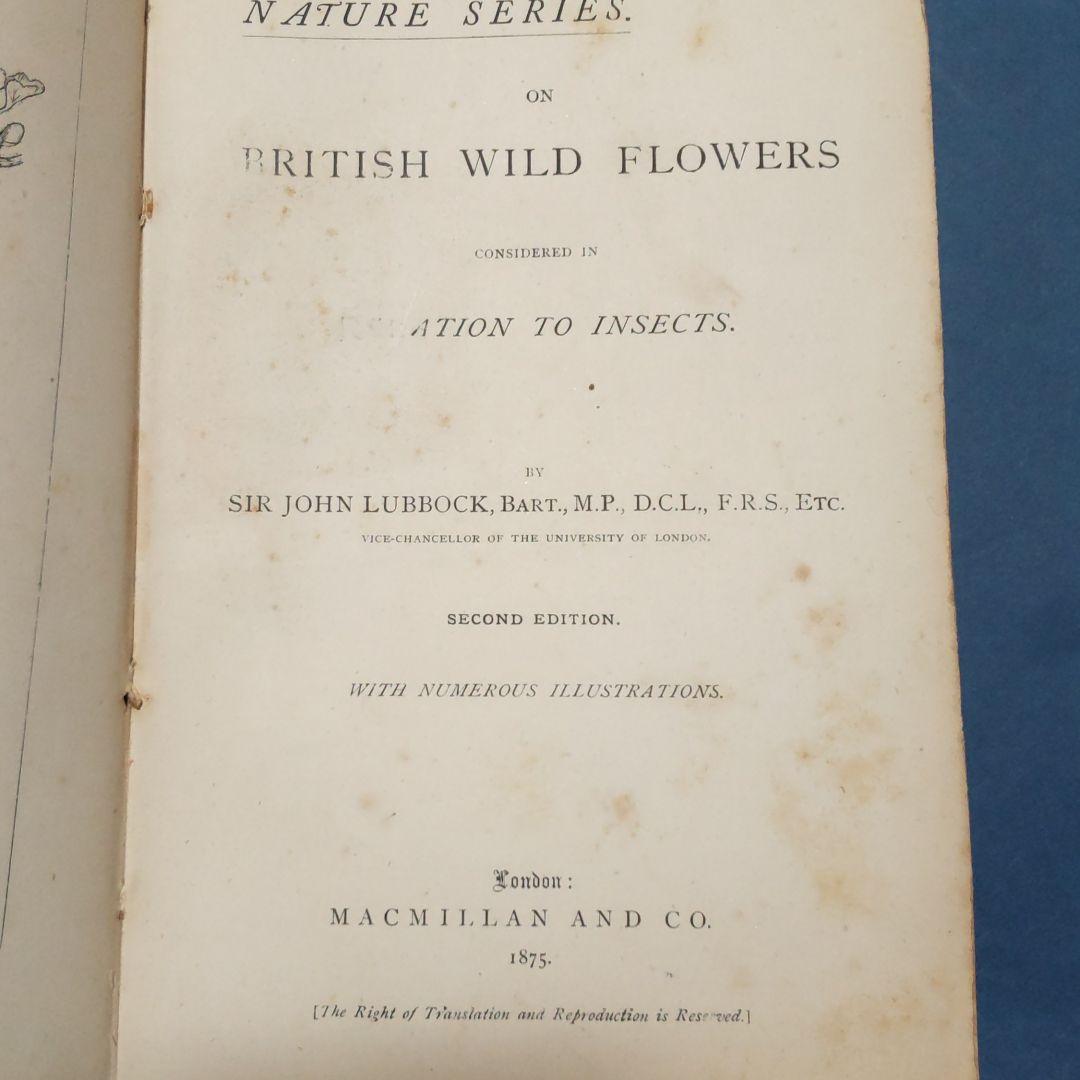 british wild flowers in relation to ‥