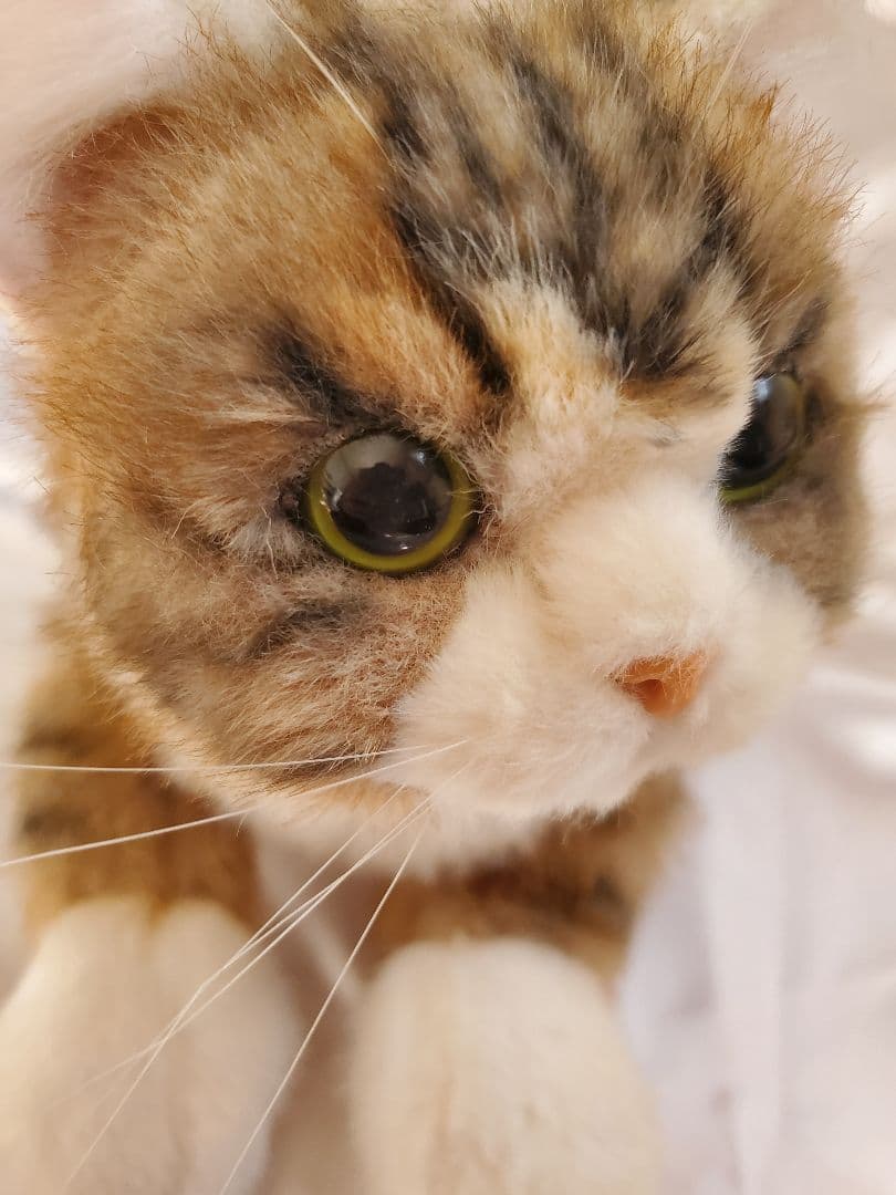 なでなで猫ちゃんkeiー3
