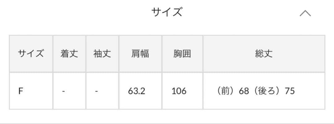リヴドロワ　カットジョーゼットフレンチプルオーバー