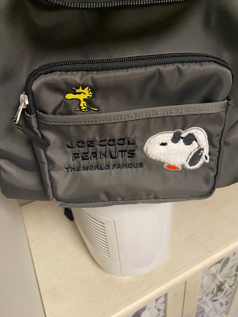 SNOOPY ペットキャリーバッグ 小型犬用