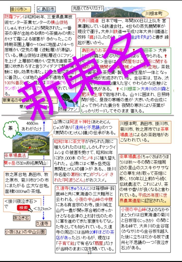 バスガイド教本　東名新東名たまごさんセット